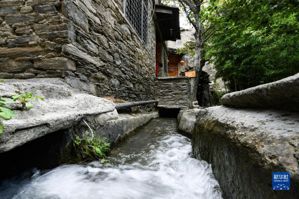 棋牌大放水